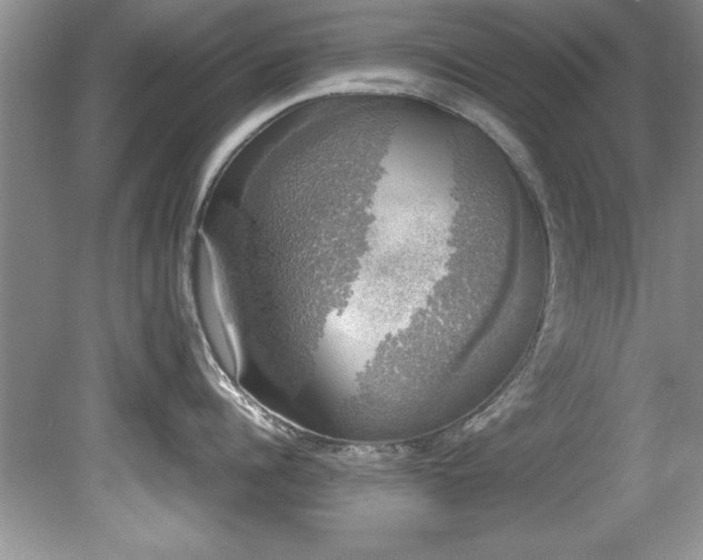 X0000081570960200701221049