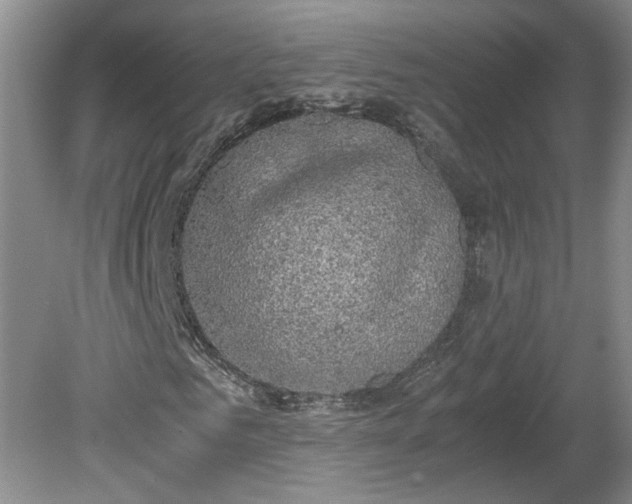 X0000081570961200701221049