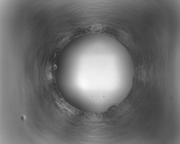 X0000081570962200701221048