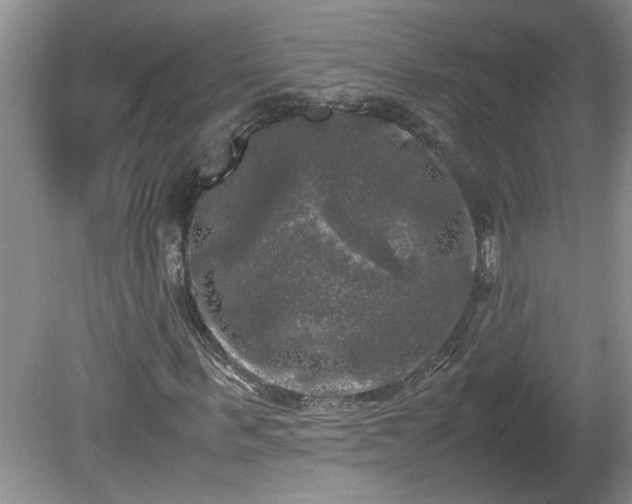 X0000081570963200701221048