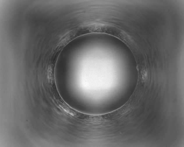 X0000081570964200701221048