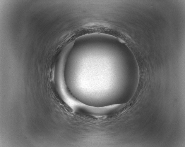 X0000081570965200701221048