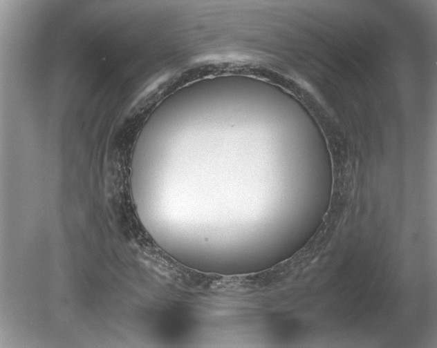 X0000081570967200701221048