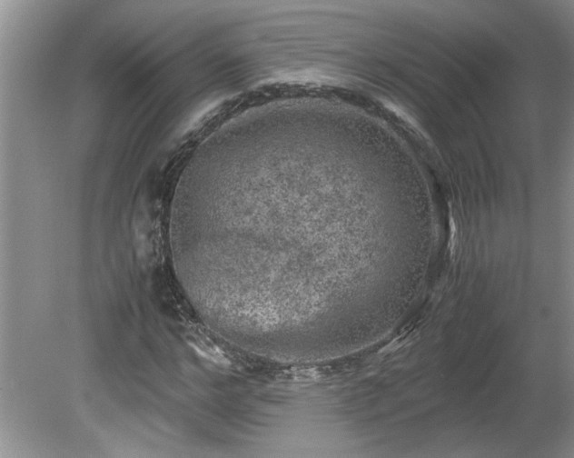 X0000081570968200701221048