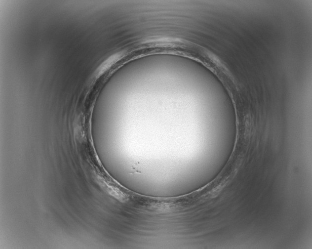 X0000081570970200701221048