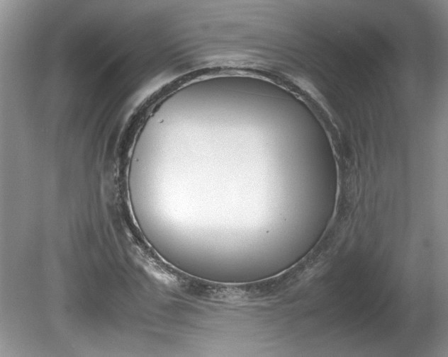 X0000081570971200701221048