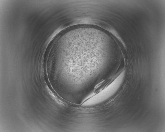 X0000081570972200701221048