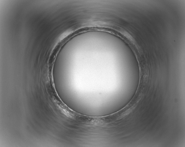 X0000081570974200701221048