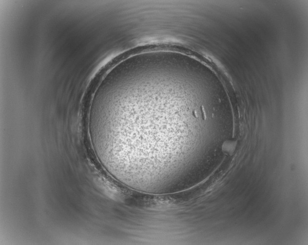 X0000081570975200701221048