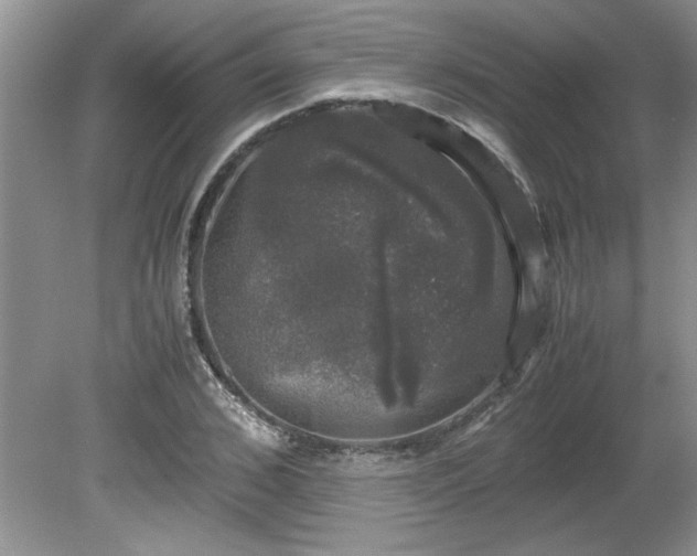 X0000081570976200701221048