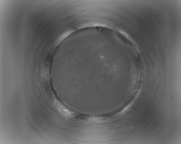 X0000081570977200701221048