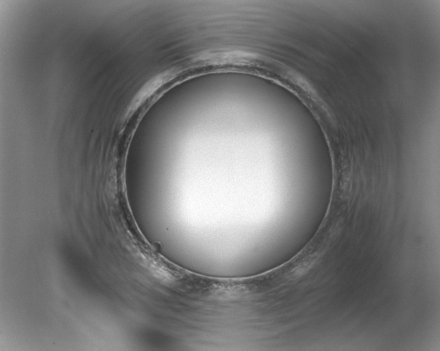 X0000081570978200701221048