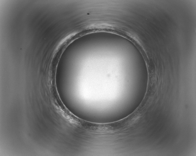 X0000081570979200701221048