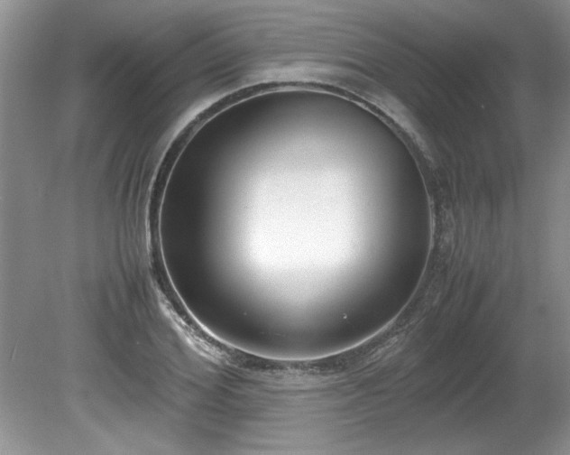 X0000081570980200701221048