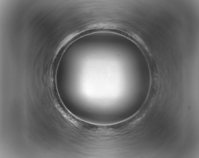 X0000081570981200701221048