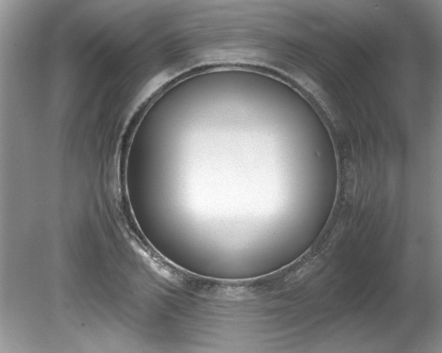 X0000081570982200701221048