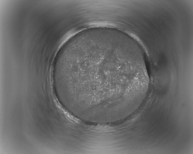 X0000081570983200701221048