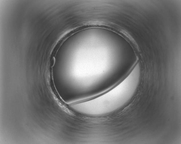 X0000081570984200701221048