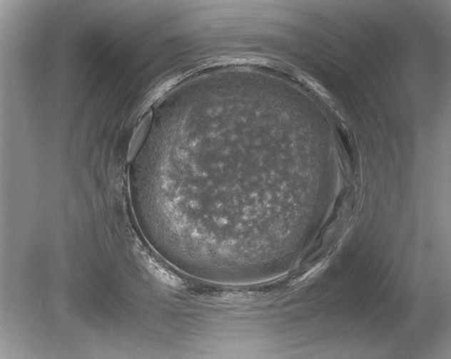 X0000081570985200701221048