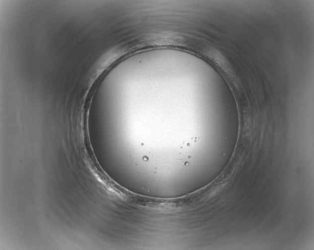 X0000081570986200701221048