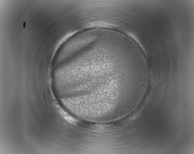 X0000081570987200701221048