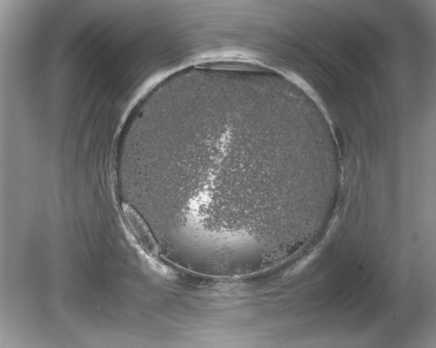 X0000081570989200701221048