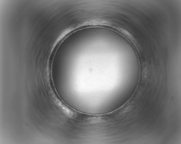 X0000081570990200701221048