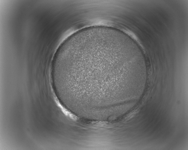 X0000081570991200701221048