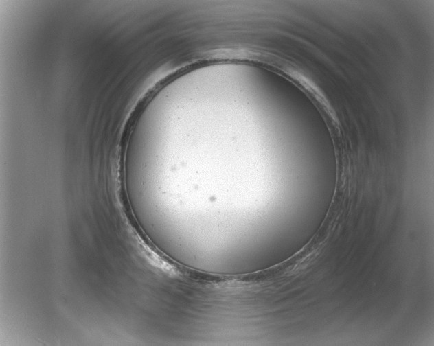 X0000081570992200701221048