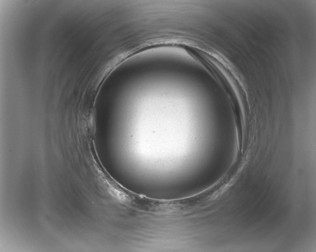 X0000081570993200701221048