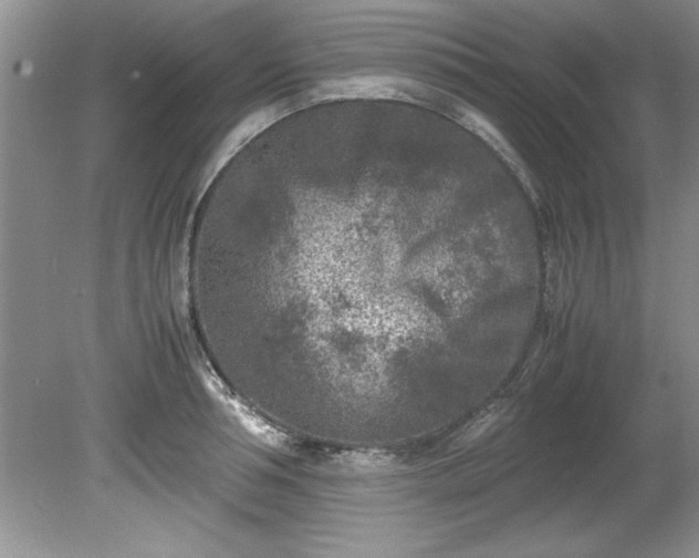 X0000081570994200701221048