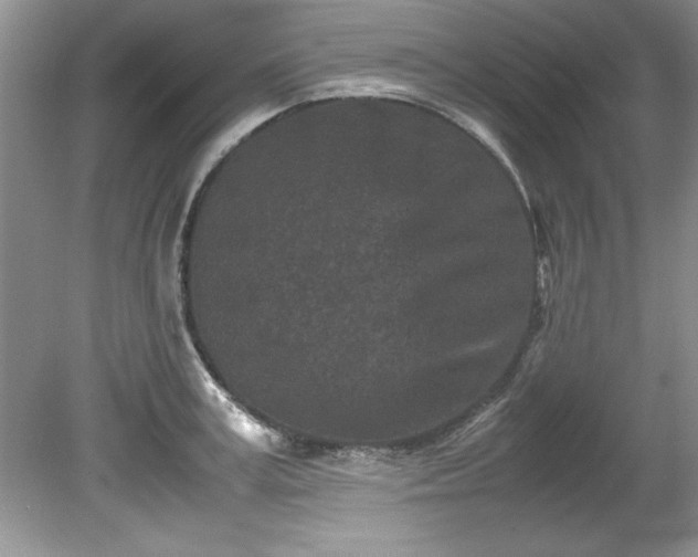 X0000081570995200701221048