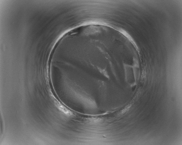 X0000081570996200701221048