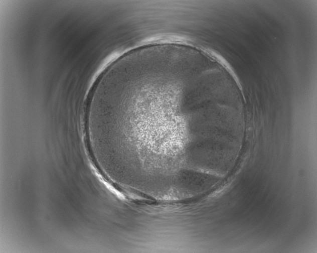 X0000081570997200701221048