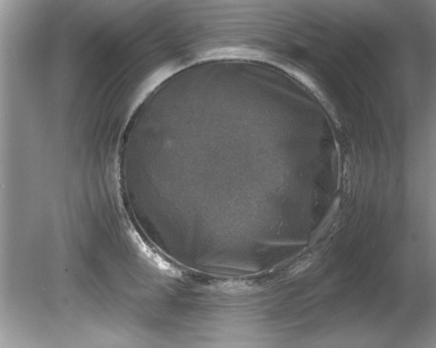 X0000081570998200701221048