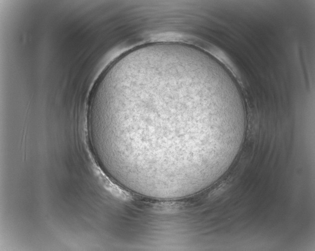 X0000081571000200701221048