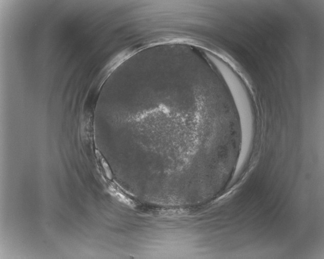 X0000081571001200701221048