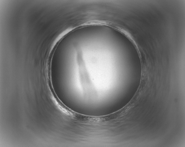 X0000081571003200701221048