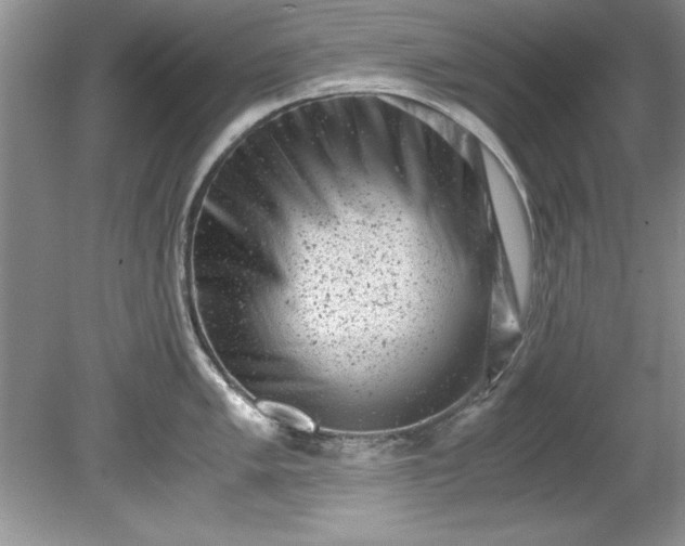 X0000081571005200701221048