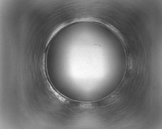 X0000081571006200701221048