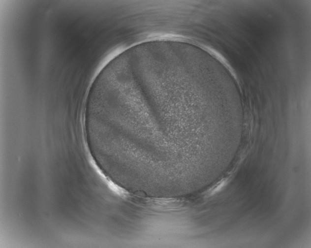 X0000081571007200701221048