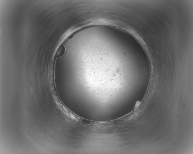 X0000081571008200701221048