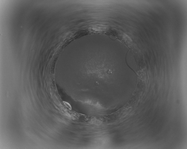 X0000081571009200701221047