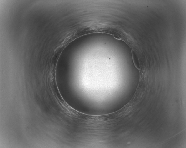 X0000081571012200701221047