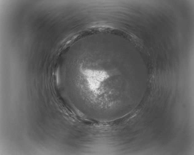 X0000081571014200701221047