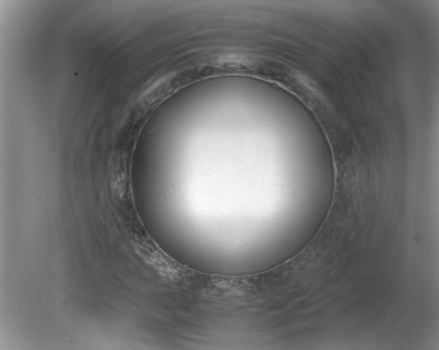 X0000081571015200701221047