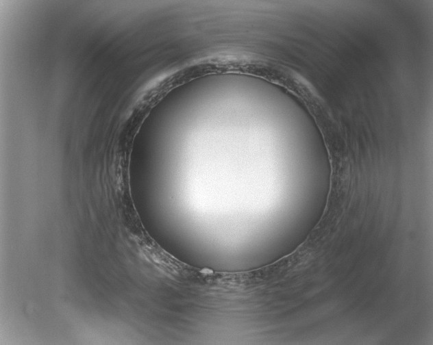 X0000081571016200701221047