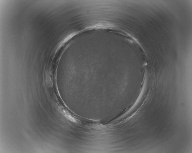 X0000081571018200701221047