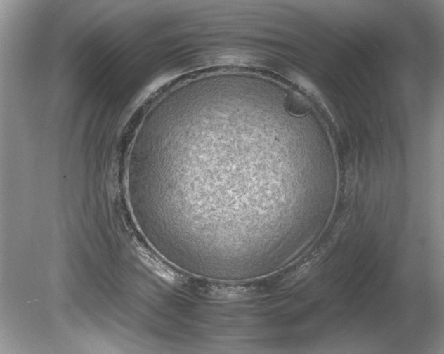 X0000081571019200701221047