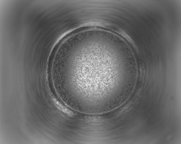 X0000081571020200701221047